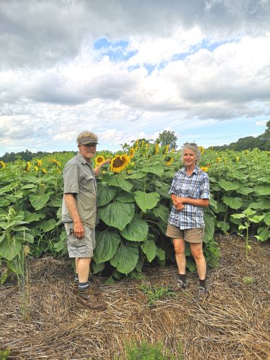 Sunflower Garden Mat